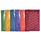 Champion Sports 12x18 Nylon-Mesh Equipment Bag. Assorted Colors, Set of 6 (CHSMB18SET)