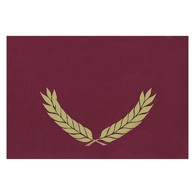 Hayes Gold Foil Stamped Maroon Certificate Folders, Pack of 30 (H-VA344)