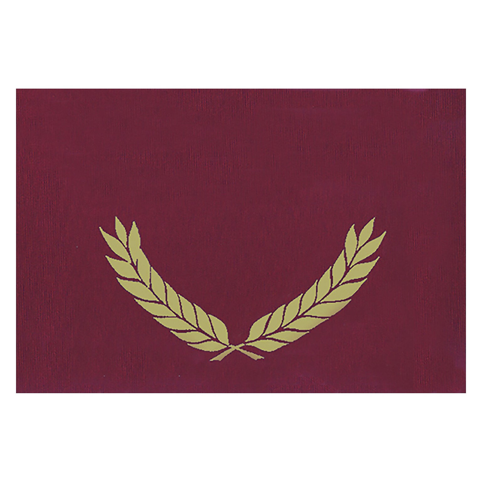 Hayes Gold Foil Stamped Maroon Certificate Folders, Pack of 30 (H-VA344)