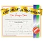 Hayes Certificate of Promotion, 8.5" x 11", Pack of 30 (H-VA509)