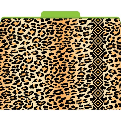 Functional File Folders, Leopard