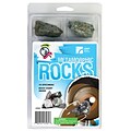 American Educational Products Explore With Me Geology® Metamorphic Rocks