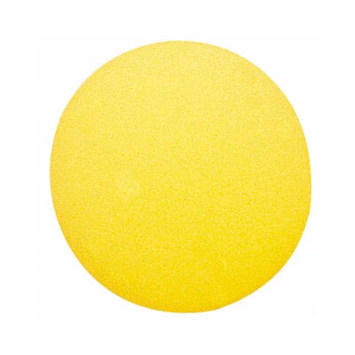 Martin Sports Physical Education Foam Ball, 8-1/2