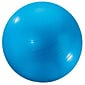 Dick Martin Sports 24" Exercise Ball, Blue (MASGYM24)