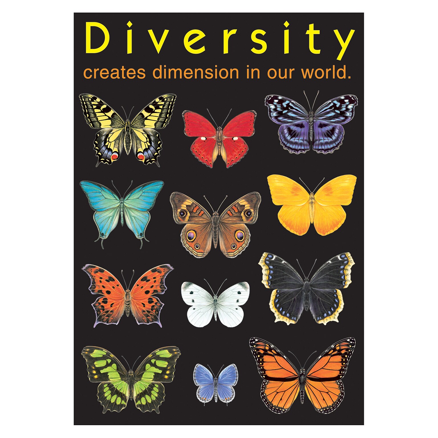Trend® Educational Classroom Posters, Diversity creates dimension…