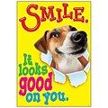 Trend Enterprises® ARGUS® 13 3/8 x 19 Smile It Looks Good On You Poster