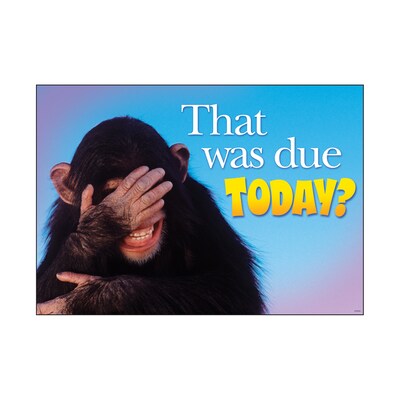 Trend® Educational Classroom Posters, That was due today?