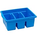 Copernicus Educational Products Leveled Reading Large Divided Book Tubs, Blue (CEPCC4069B)