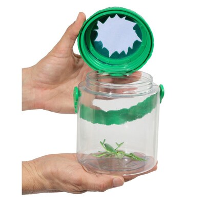 Best Ever Bug Jar