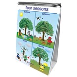 New Path Learning® Weather & Sky Curriculum Mastery® Flip Chart Set