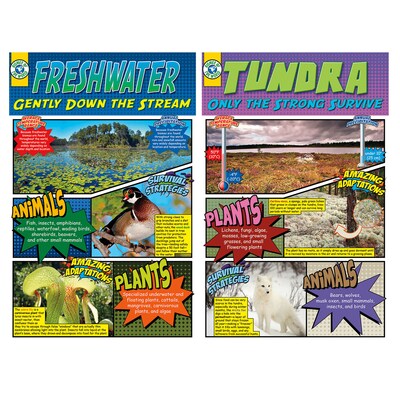 Biomes Bulletin Board Set