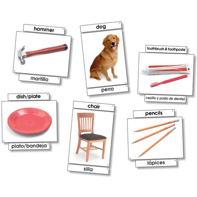 North Star Teacher Resources 6 x 8 Basic Vocabulary Skills Language Card