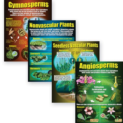 Types of Plants Teaching Poster Set