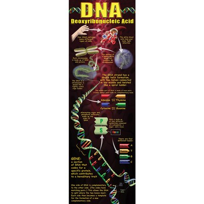 DNA Colossal Concept Poster