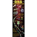 DNA Colossal Concept Poster