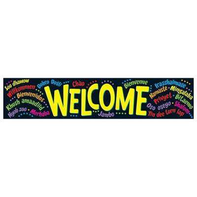 Trend® Quotable Expressions® Banners, Welcome, Multi-Lingual
