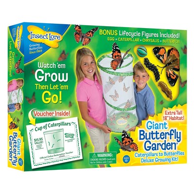 Insect Lore Giant Butterfly Garden Deluxe Growing Kit (ILP01070)