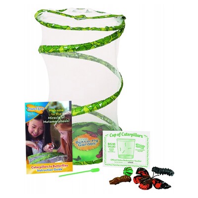 Insect Lore Giant Butterfly Garden Deluxe Growing Kit (ILP01070)