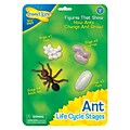 Insect Lore® Ant Life Cycle Stages Figures, 6 EA/BD