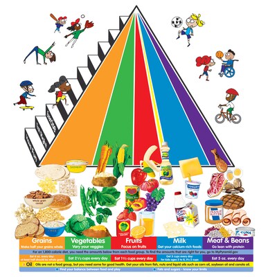 My Pyramid, Different Food Groups