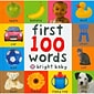 First 100 Words Big Board Book (PR-9780312495411)