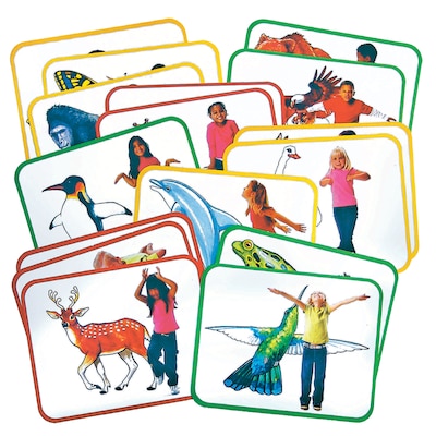 Roylco® Body Poetry Animal Action Cards