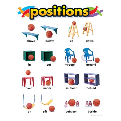 Positions Learning Chart