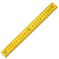 Learning Advantage™ Elapsed Time Ruler™, Student