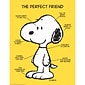 Eureka® Peanuts® The Perfect Friend Poster, 17 x 22 (EU-837039)