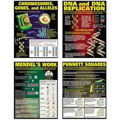 McDonald Publishing DNA and Heredity Poster Set, Science