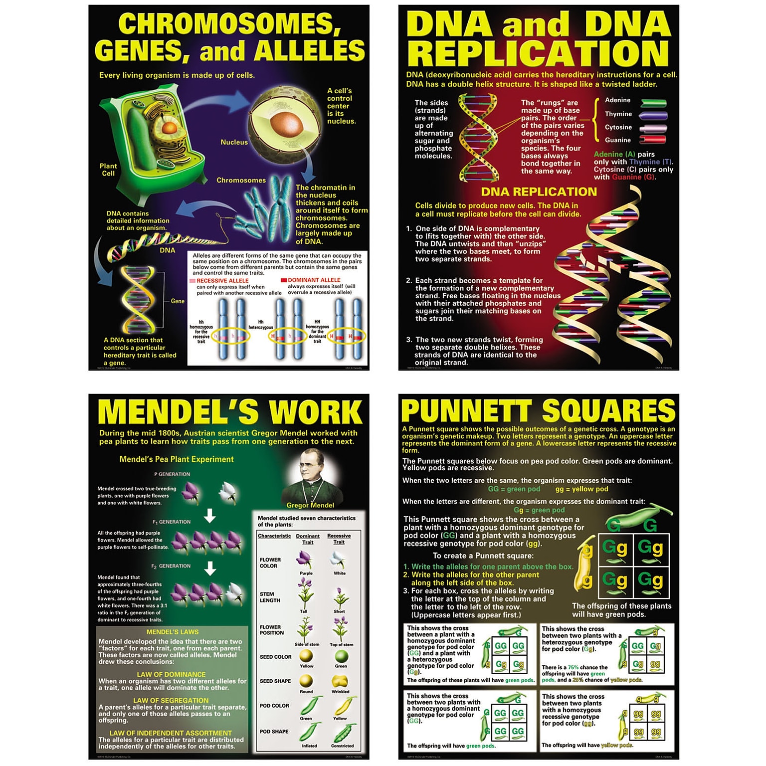 McDonald Publishing DNA and Heredity Poster Set, Science