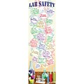 McDonald Publishing Science Lab Safety Colossal Poster, 22 x 17 (MC-V1686)