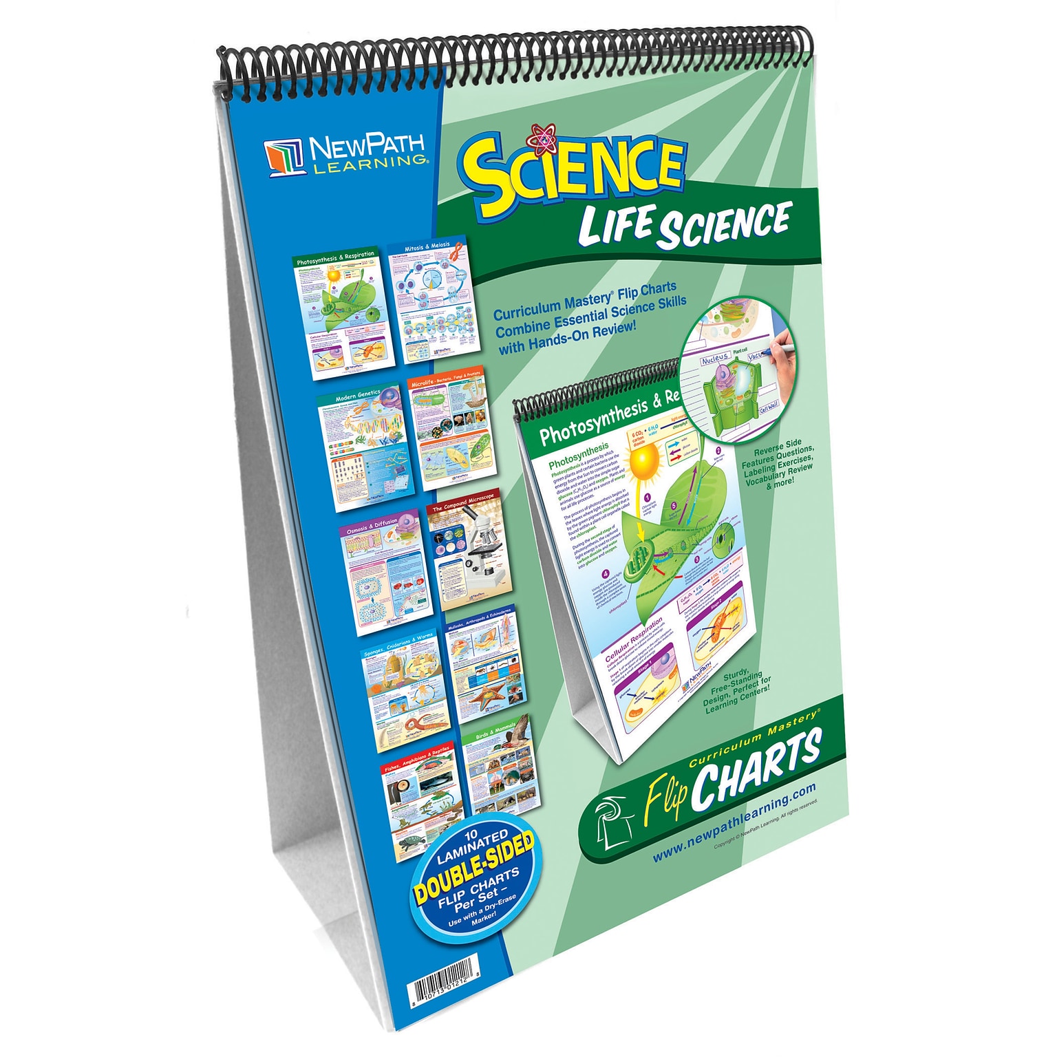 New Path Learning® Flip Charts, Middle School, Life Science