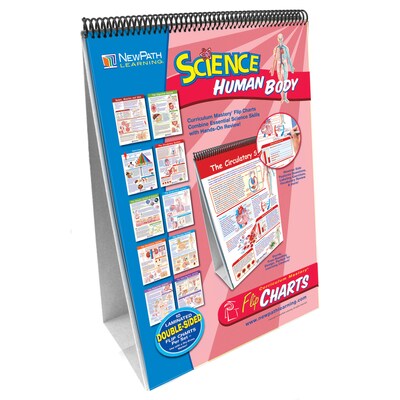 New Path Learning® Flip Charts, Human Body