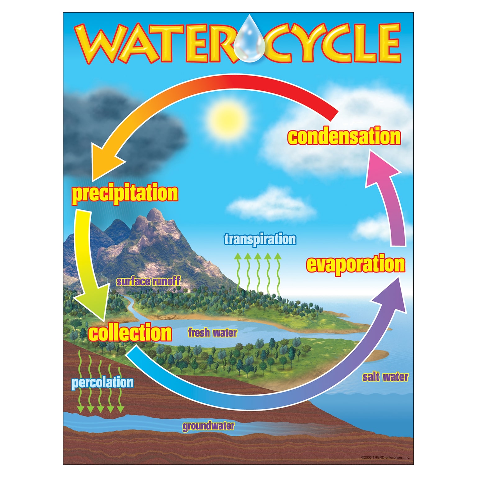 Trend® Learning Charts, The Water Cycle