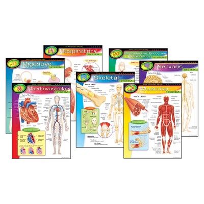 Trend® Learning Chart Combo Packs, The Human Body