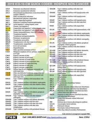 PMIC 2019 ICD-10-CM QUICK Quick Coder Card, Hospice