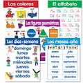 Creative Teaching Press™ Spanish Basic Skills, 5-Chart Pack