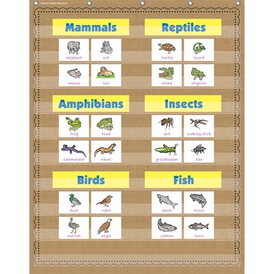 Teacher Created Resources 10-Pocket Pocket Chart, 34 x 44, Burlap (TCR20839)
