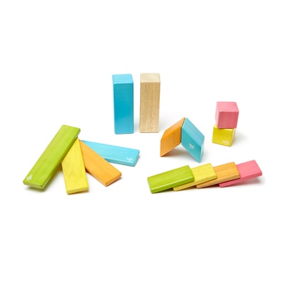 Tegu Wooden Tints Set, Assorted, 14 Pieces (TEG14PTNT306T)