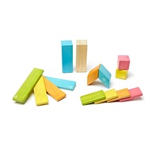 Tegu Wooden Tints Set, Assorted, 14 Pieces (TEG14PTNT306T)