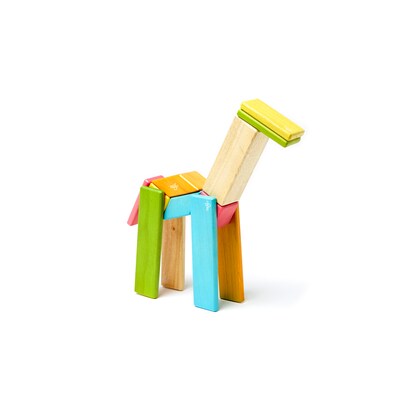 Tegu Wooden Tints Set, Assorted, 14 Pieces (TEG14PTNT306T)