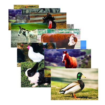 Stages Learning Materials® Real Life Learning - Farm Animal Poster Set, Science (SLM152)