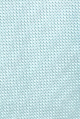 Graham Medical Extra-Gard® Dental Towel, TTTP, 13" x 19", Blue, 500/Case (16180)