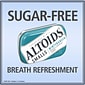 Altoids Smalls Sugar Free Wintergreen Mints, 3.33 oz., 9/Pack (209-00487)