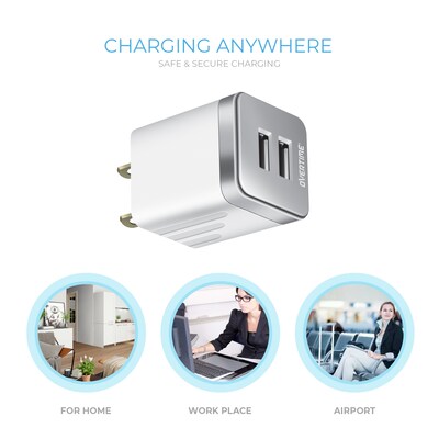 Overtime Dual USB 12W Travel Wall Charger, Metallic Silver (OTH2USB2ASL)