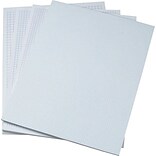 Ampad Evidence® 5 x 5 Quadrille Ruled Pad Graph Paper