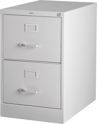 Hirsh 2-Drawer Vertical File Cabinet, Letter, Gray (14411)