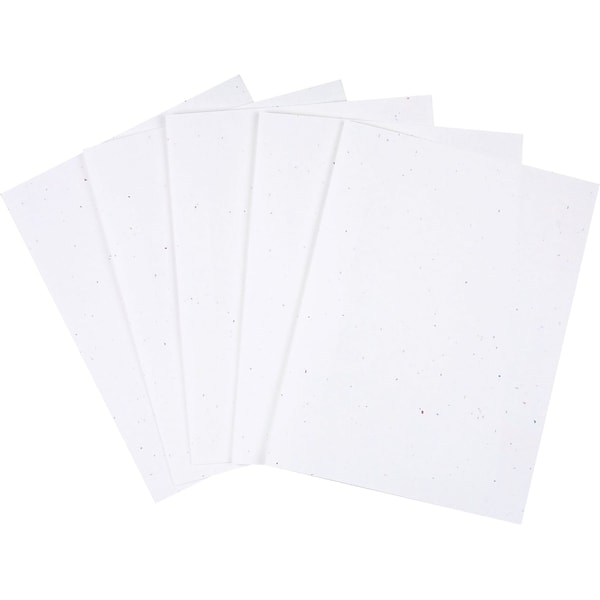 White Cardstock in Paper 