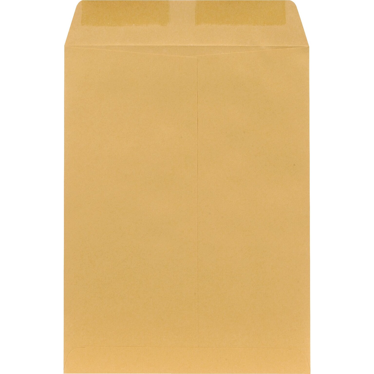 Staples® 9 x 12 Brown Kraft Catalog Envelopes; 250/Box (486940/17032)